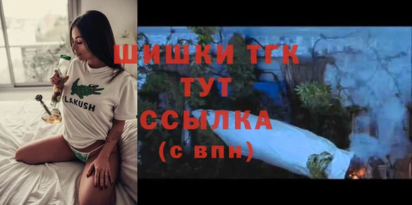 амф Надым